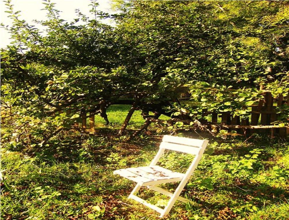Le Moulin Fleuri Du Appeville Bed & Breakfast Petit-Appeville